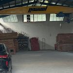سایت چوب اسفندیار