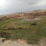 داشاقل