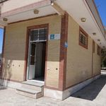 سرویس بهداشتی