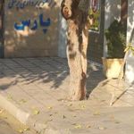 مرکز تصویربرداری پارس