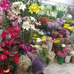 فروشگاه جهیزیه،کادویی و لوازم خانگی گلشن