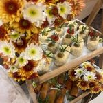 پروین خلیلی