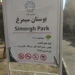 بوستان کاج ملاصدرا