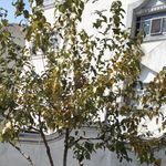 سازمان زندانها و اقدامات تامینی و تربیتی کشور