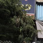گالری عینک ام اند ام