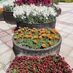 ایستگاه اتوبوس میدان شهید محسن حججی