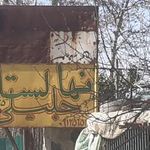 نهالستان جلیلی وثوق