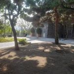 پارک باغ بالا