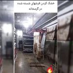 قالیشویی و مبلشویی ناب (قلی تبار)