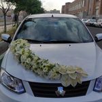 پروین خلیلی