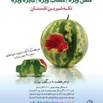 بانک تجارت شعبه نجات اللهی