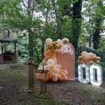 پروین خلیلی