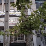 دندانپزشک شبانه روزی دکتر جنتی