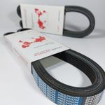 تسمه المپیک