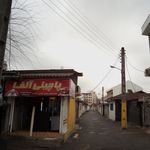 پاچینی آلفا