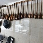 آموزشگاه موسیقی رایا