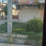 چلو کبابی آیدا