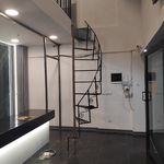 پاکینه گستر سرخ آبی