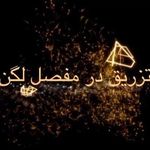 دکتر محمد رضا آریانی(فلوشیپ)