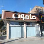 کیف و‌کفش ماموت