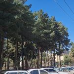 پارک موزه یاس