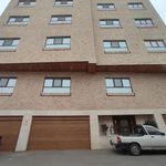 شرکت همرس یزد