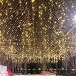 کارا برق تهران ۰۲۱