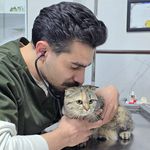 درمانگاه دامپزشکی دکتر خرمی - اصفهان - 9296