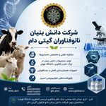 نانوفناوران گیتی دام