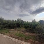 مشاور املاک قاضی اسدالهی