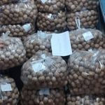 سوغات سرای بختیاری