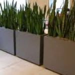 طراحی و احداث و نگهداری فضای سبز