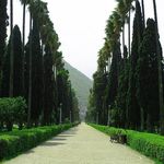 بلوار کازینو