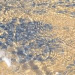 ساحل سنگ مرغان