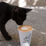 فروشگاه قهوه و شکلات بامداد