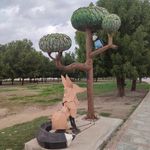 پارک ساحلی