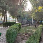 سرویس بهداشتی