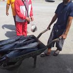 شارک دورهمی