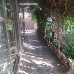 باغ رستوران سنتی شاطر عباس