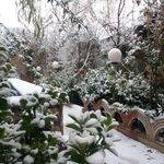 باغ رستوران سنتی شاطر عباس