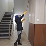 پاکینه گستر سرخ آبی