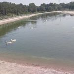 فضای سبز