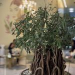 کلینیک پوست،مو و لیزر زینا مختاری