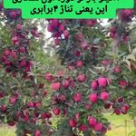 فروشگاه کودهای ارگانیک کروا