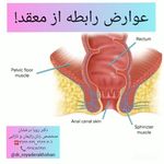دکتر رویا درخشان