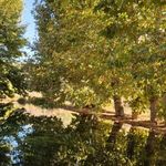 بوستان طبیعی قلعه سرهنگ