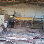 قالیشویی باران