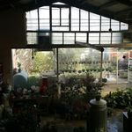 مرکز آموزشی و عرضه گل و گیاه آیت