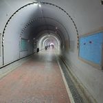 سرویس بهداشتی بوستان هما