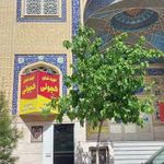آشپزخانه و تهیه غذای کچوئی